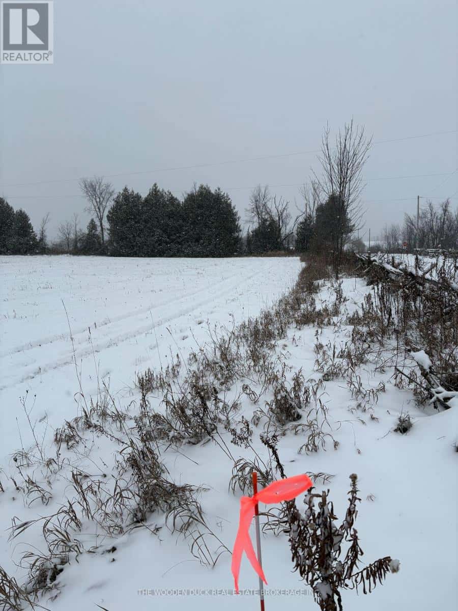 0 COONEY ISLAND ROAD — Douro-Dummer, Ontario - Photo 2 of 13