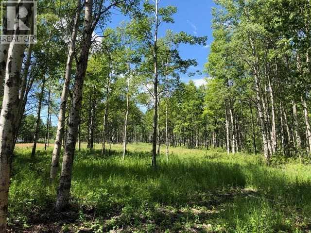 Range Rd 55 - Forestry Trunk Rd (SE 30-26-5-5) — Rural Rocky View County, Alberta - Photo 4 of 17