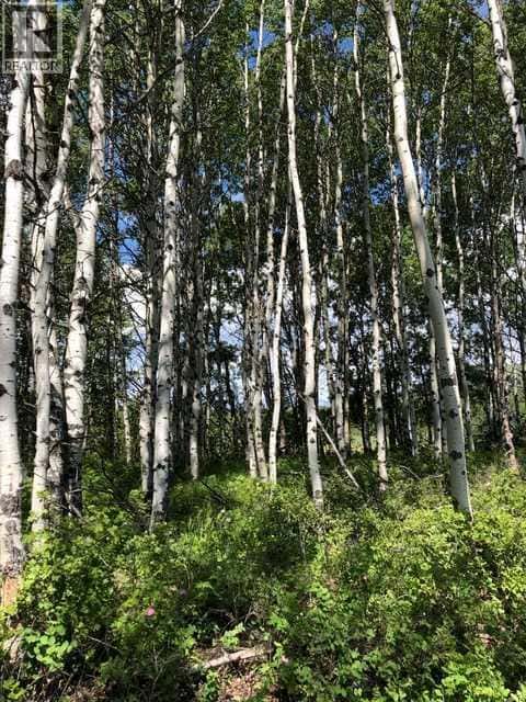 Range Rd 55 - Forestry Trunk Rd (SE 30-26-5-5) — Rural Rocky View County, Alberta - Photo 5 of 17