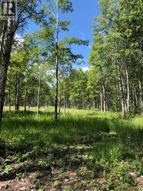 Range Rd 55 - Forestry Trunk Rd (SE 30-26-5-5) — Rural Rocky View County, Alberta - Photo 3 of 17