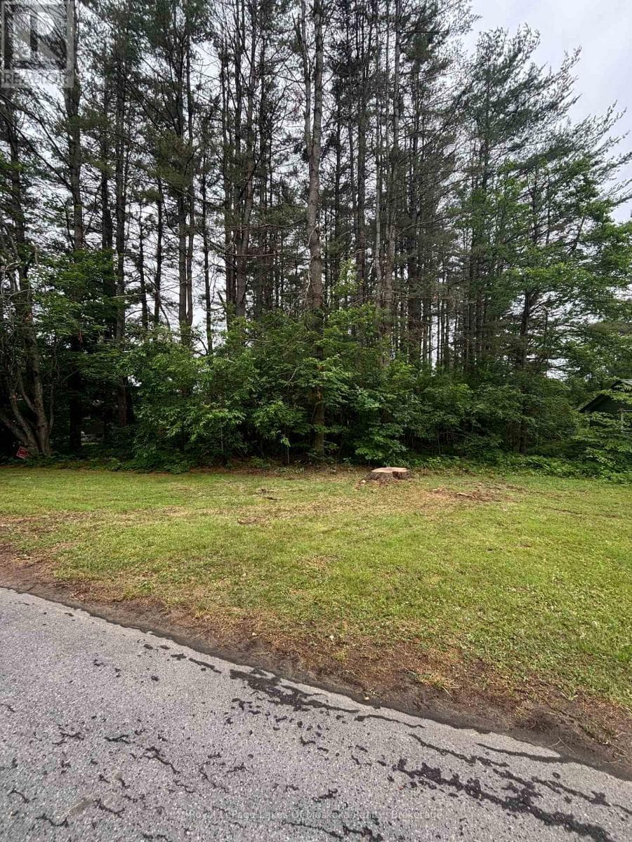 124 FREDERICK STREET — Bracebridge (Draper), Ontario - Main photo