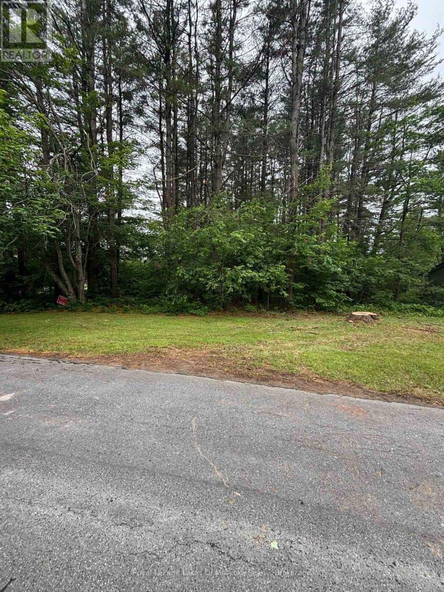 124 FREDERICK STREET — Bracebridge (Draper), Ontario - Photo 3 of 4