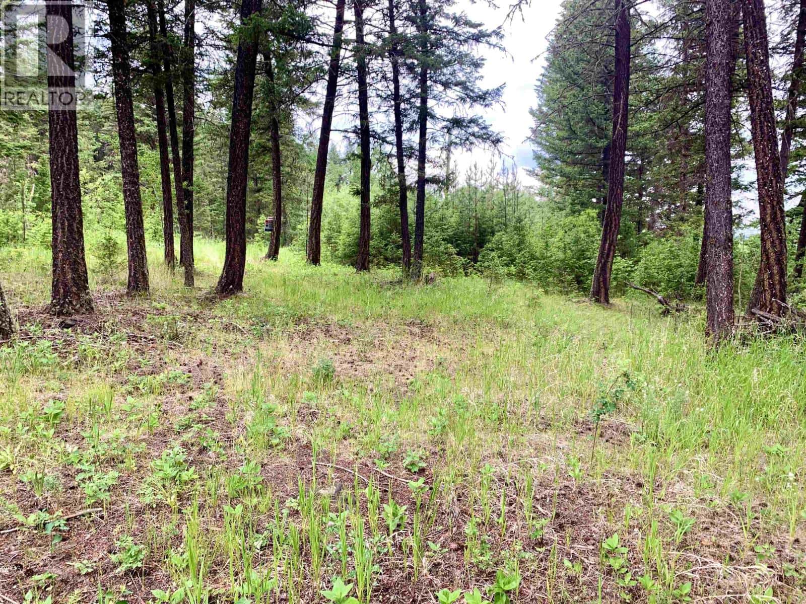 3340 WRIGHT STATION ROAD — Lac La Hache, British Columbia - Photo 2 of 12