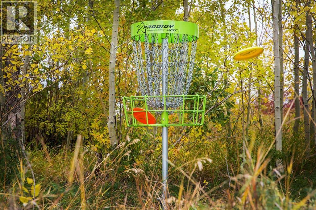 19 Cottonwood Crescent — Rosemary, Alberta - Photo 3 of 8