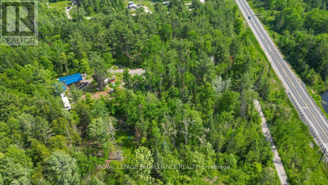 4 WOLF LAKE ROAD — Madoc, Ontario - Photo 5 of 36