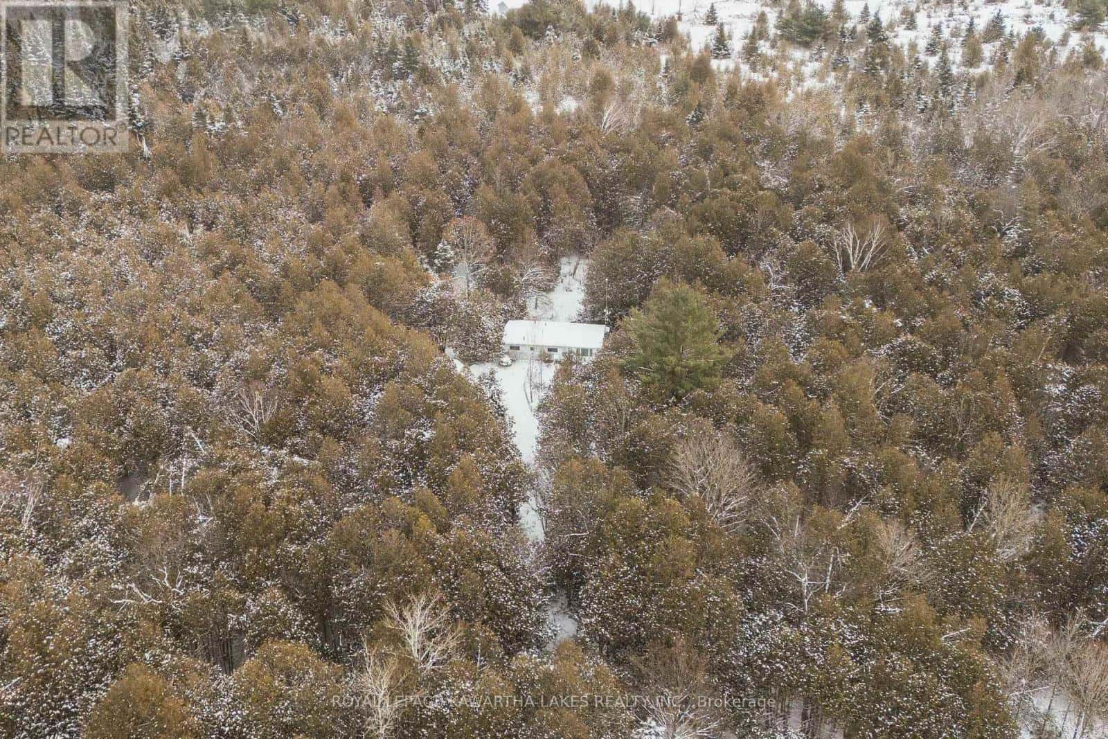 38 FELL STATION DRIVE — Kawartha Lakes (Fenelon Falls), Ontario - Photo 2 of 34