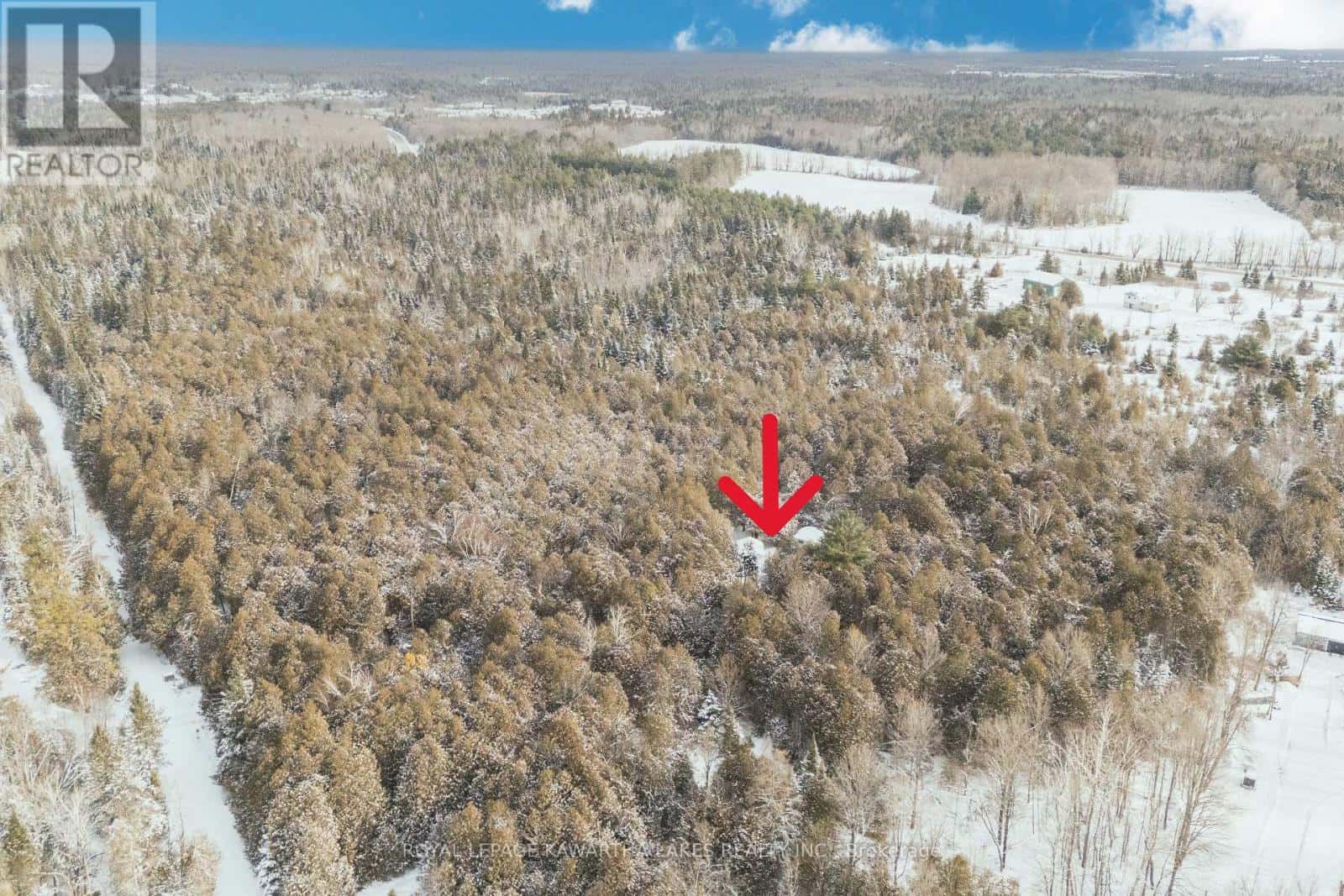 38 FELL STATION DRIVE — Kawartha Lakes (Fenelon Falls), Ontario - Photo 3 of 34