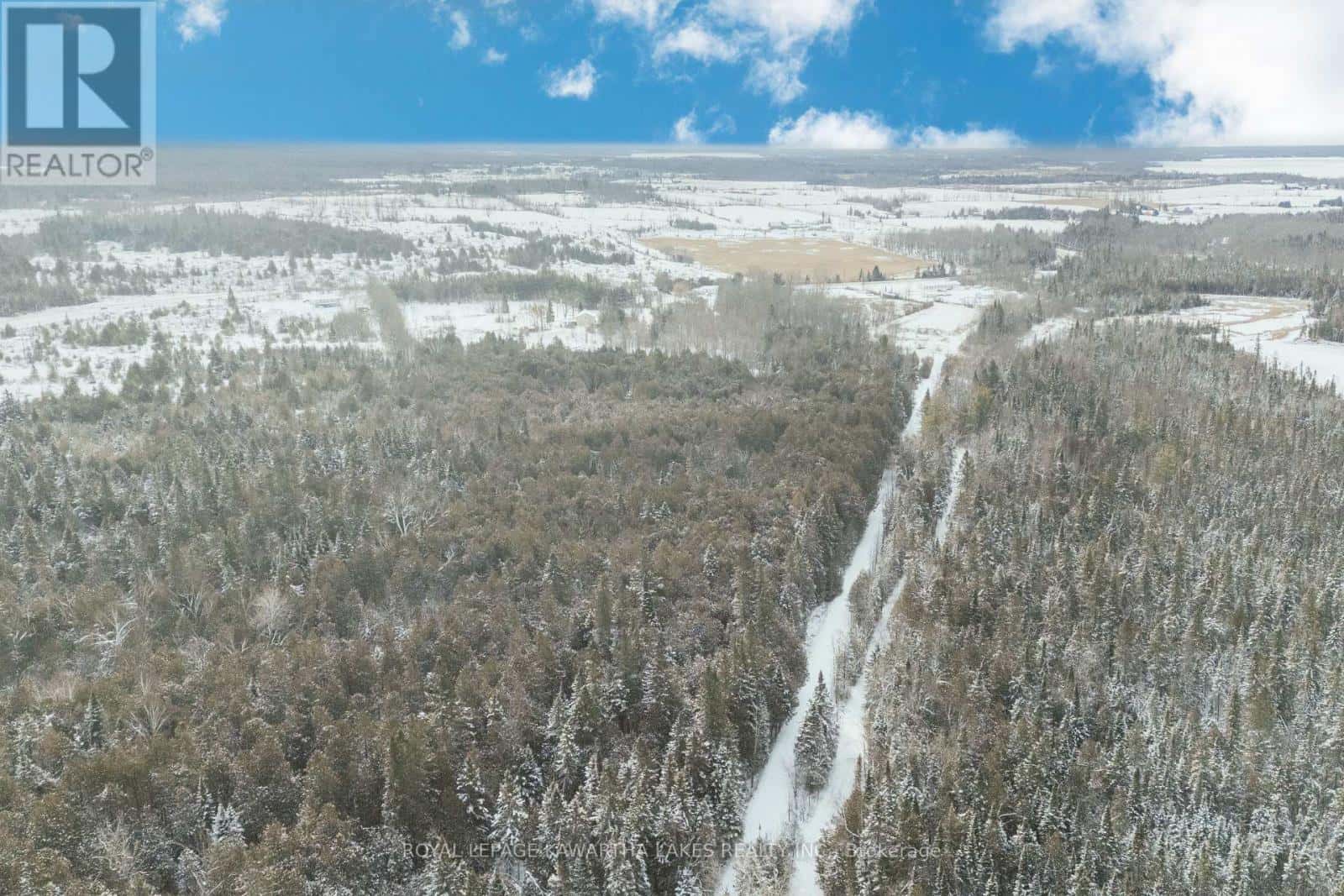 38 FELL STATION DRIVE — Kawartha Lakes (Fenelon Falls), Ontario - Photo 4 of 34