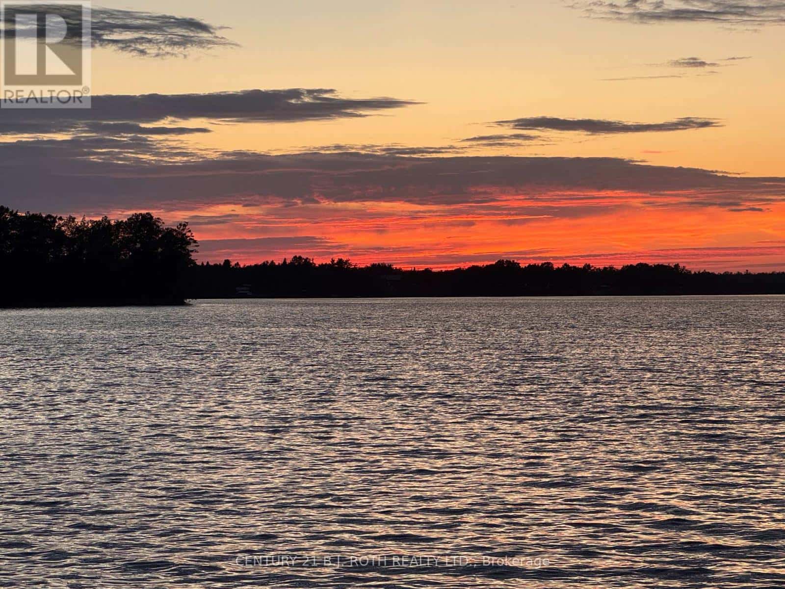 239 AVERY POINT ROAD — Kawartha Lakes (Carden), Ontario - Photo 3 of 49