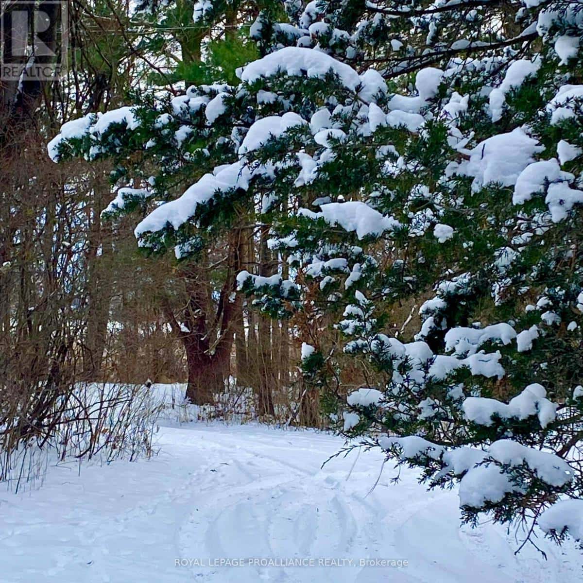 1166 THOUSAND ISLANDS PARKWAY — Front of Yonge, Ontario - Photo 2 of 12