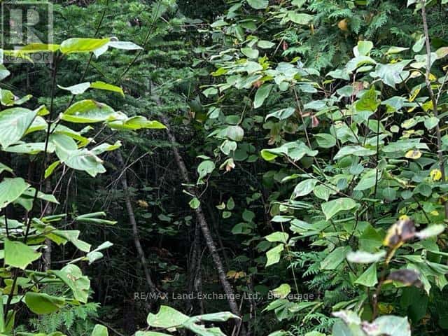 5 SHORE ROAD — Saugeen Shores, Ontario - Photo 2 of 12