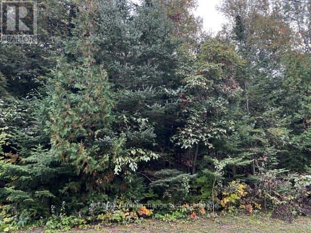 5 SHORE ROAD — Saugeen Shores, Ontario - Photo 3 of 12