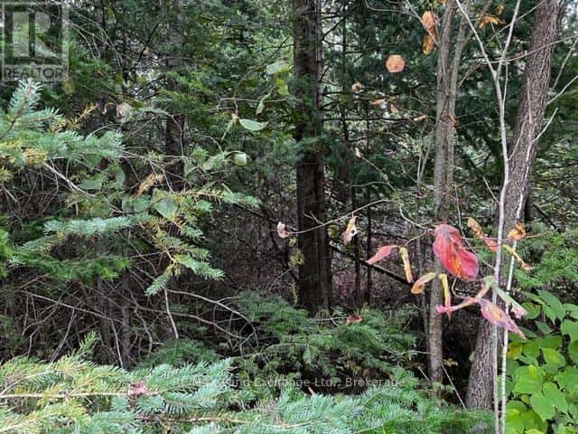 5 SHORE ROAD — Saugeen Shores, Ontario - Photo 4 of 12