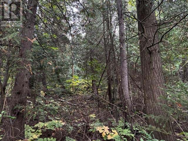 5 SHORE ROAD — Saugeen Shores, Ontario - Photo 5 of 12