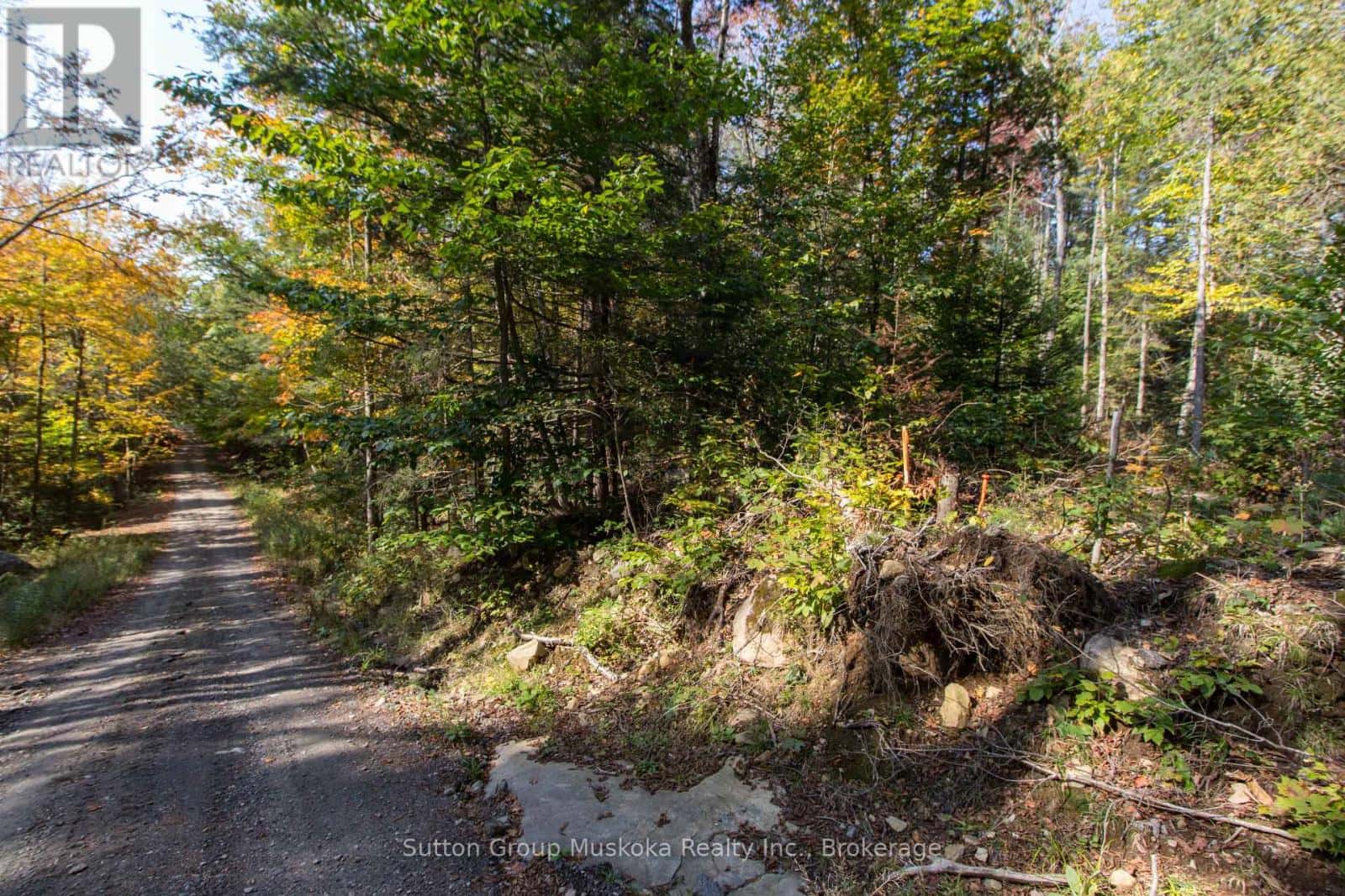 0 LYNX LAKE ROAD — Huntsville (Brunel), Ontario - Photo 2 of 17