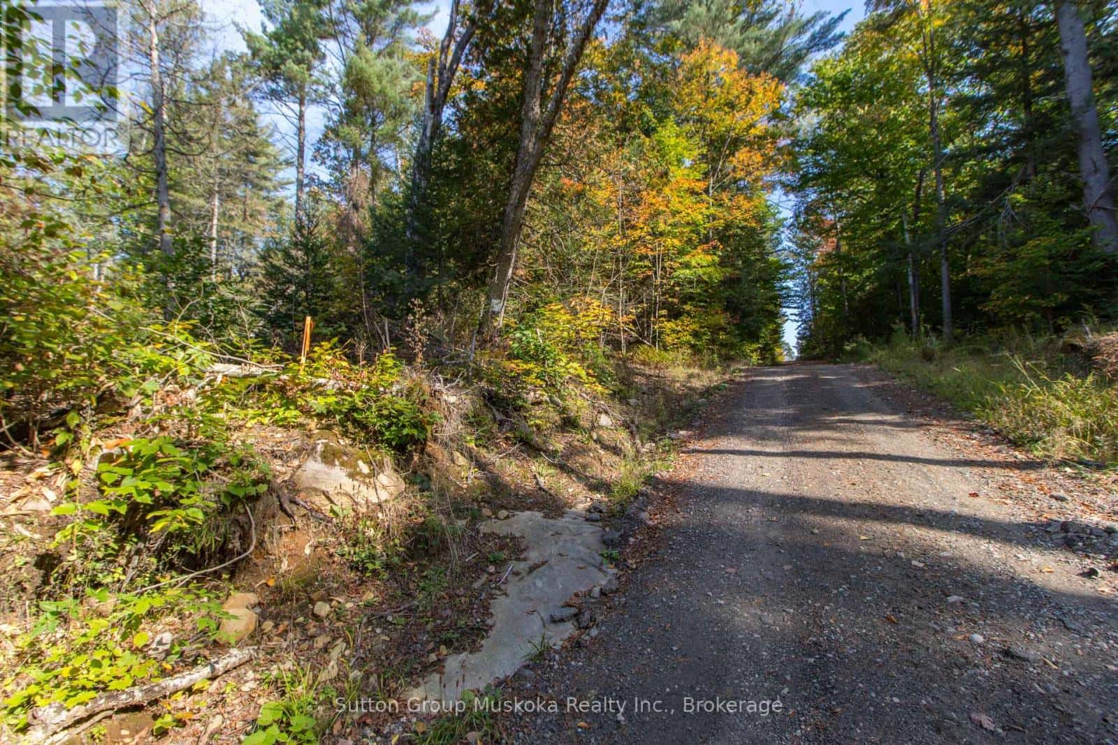 0 LYNX LAKE ROAD — Huntsville (Brunel), Ontario - Photo 3 of 17