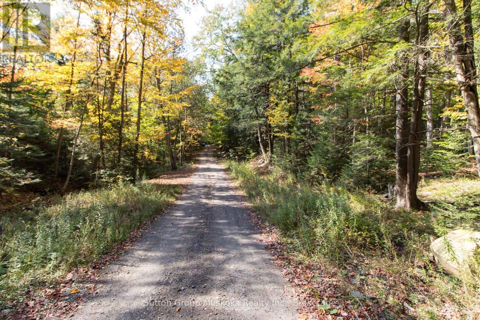 0 LYNX LAKE ROAD — Huntsville (Brunel), Ontario - Photo 4 of 17