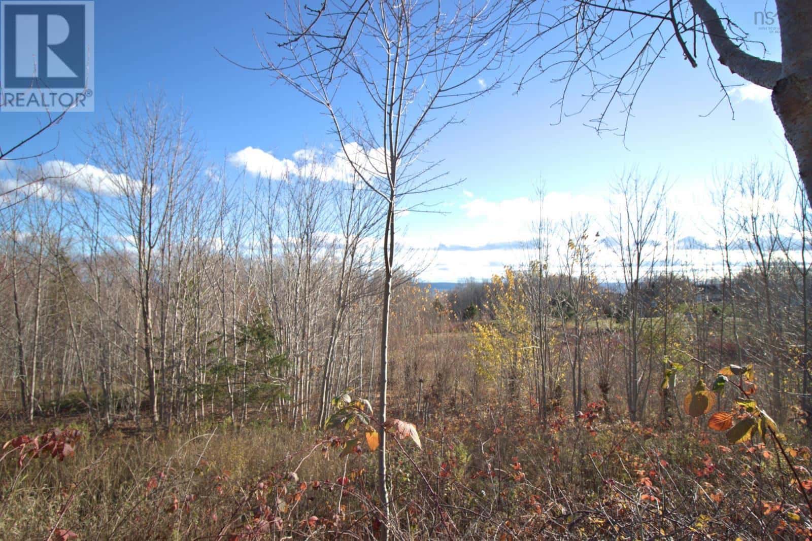 516 Burgess Mountain Road — Woodville, Nova Scotia - Photo 2 of 43