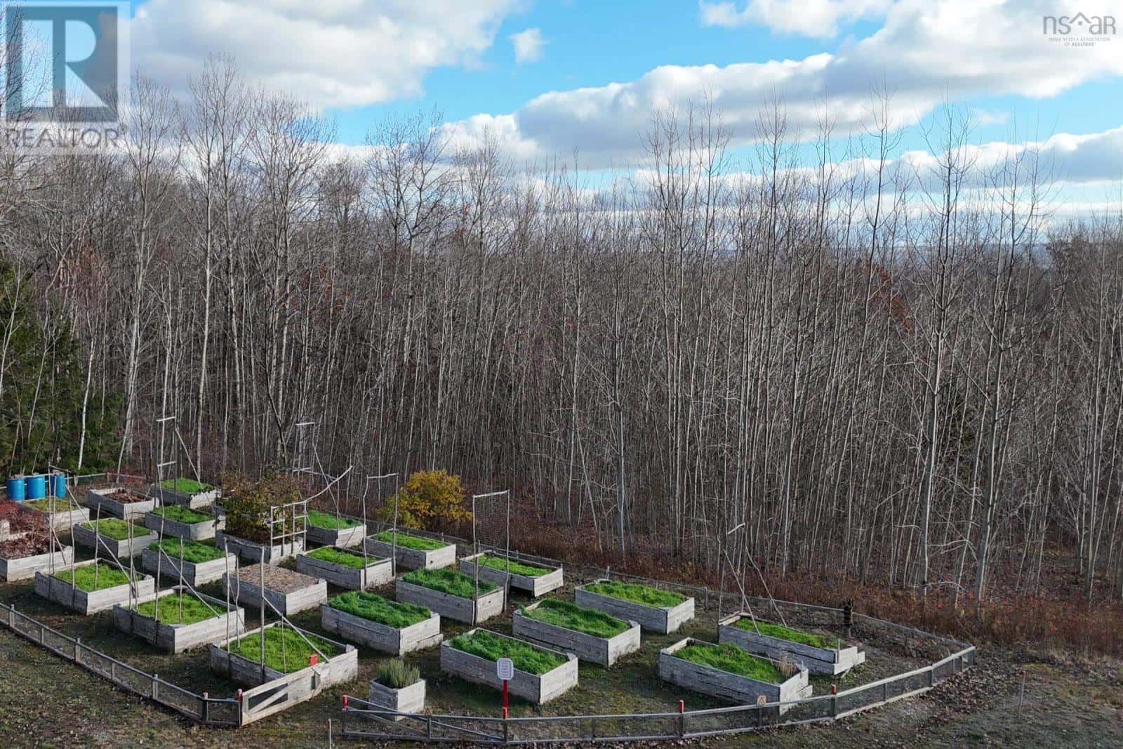 516 Burgess Mountain Road — Woodville, Nova Scotia - Photo 4 of 43