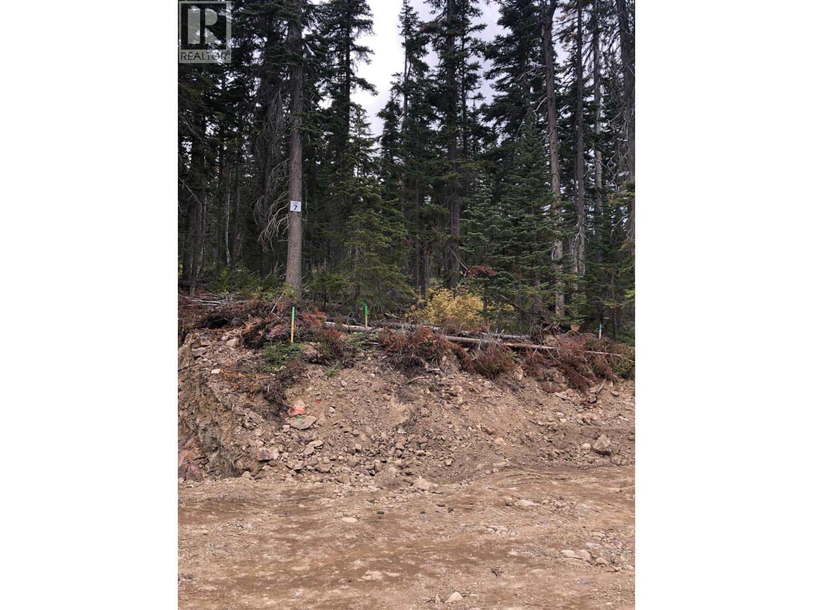 PST LOT-7 ALPINE WAY — Smithers, British Columbia - Photo 4 of 6