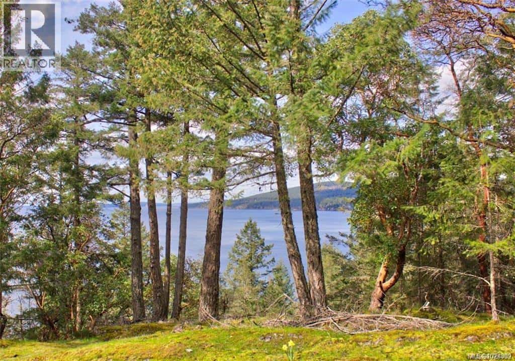 138 Narrows West Rd — Salt Spring, British Columbia - Photo 2 of 6