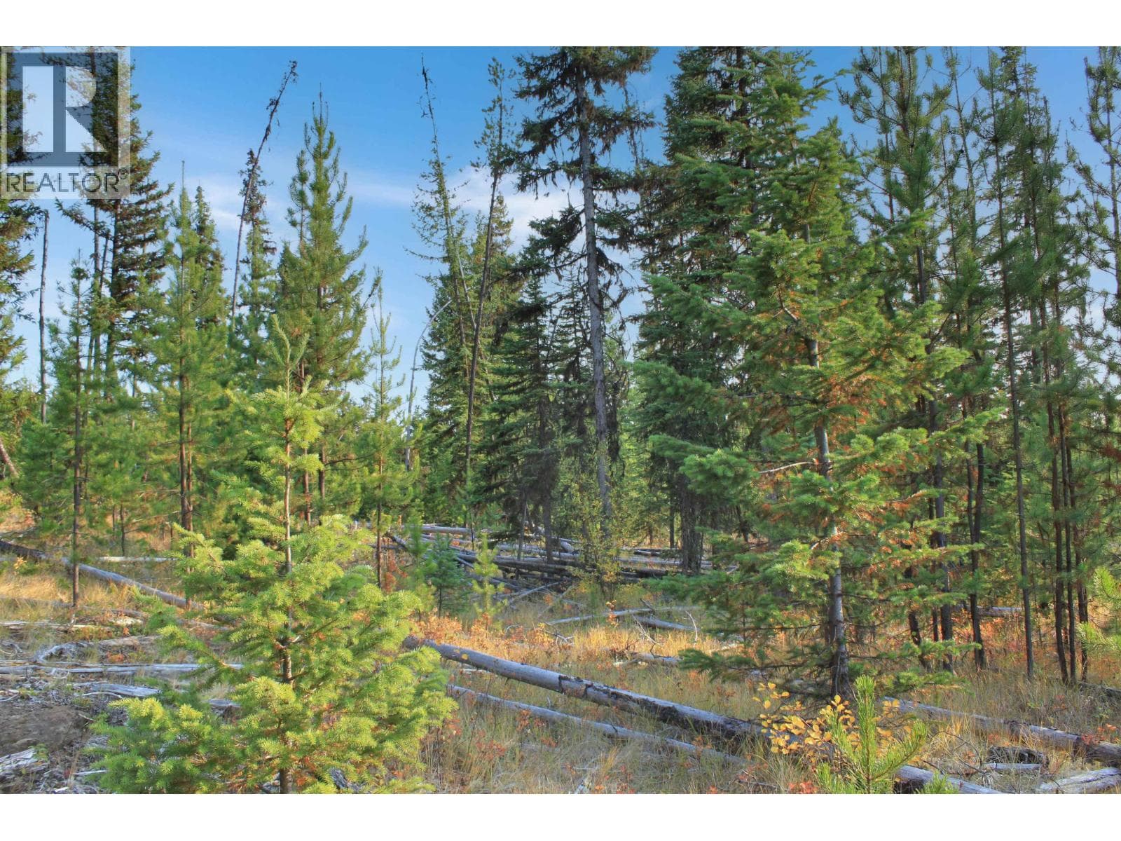 PROP LOT 12 BROWN ROAD — Bridge Lake, British Columbia - Main photo
