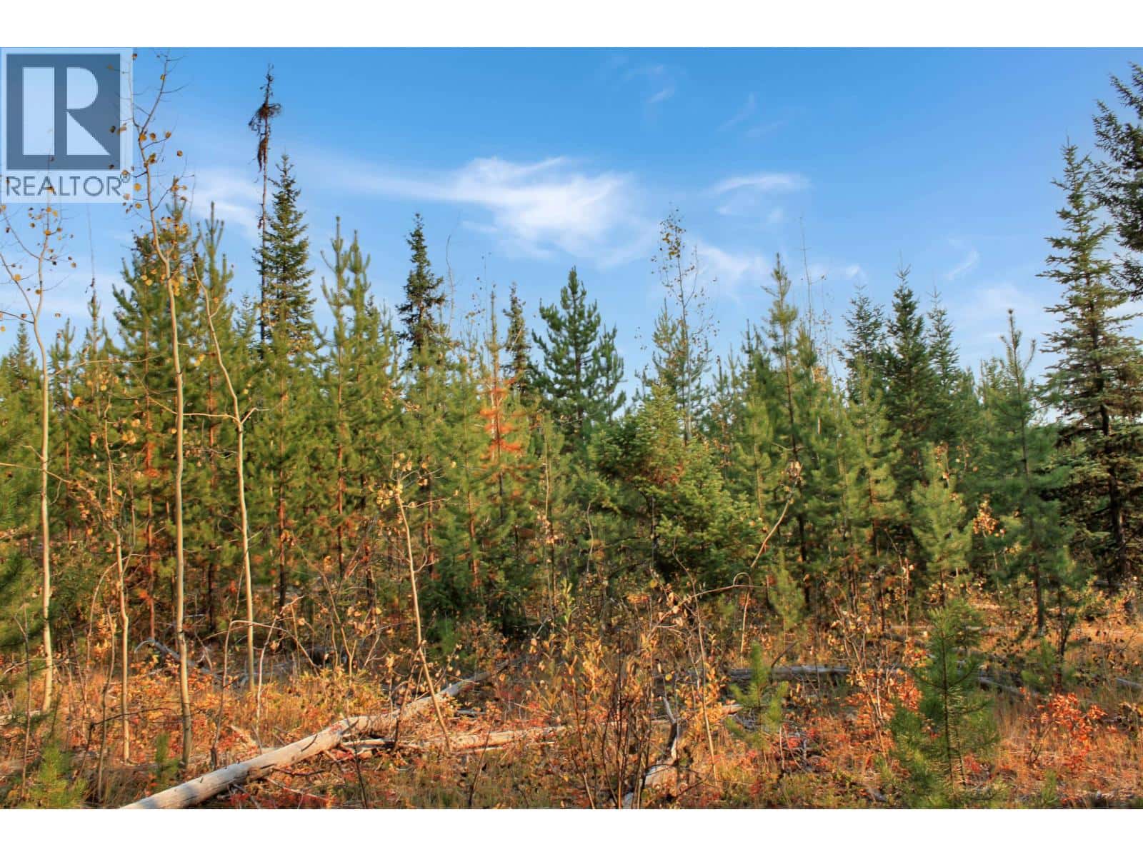 PROP LOT 12 BROWN ROAD — Bridge Lake, British Columbia - Photo 3 of 31