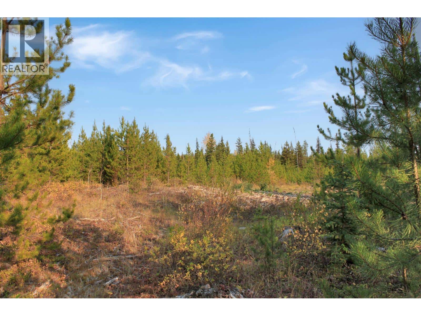 PROP LOT 12 BROWN ROAD — Bridge Lake, British Columbia - Photo 4 of 31