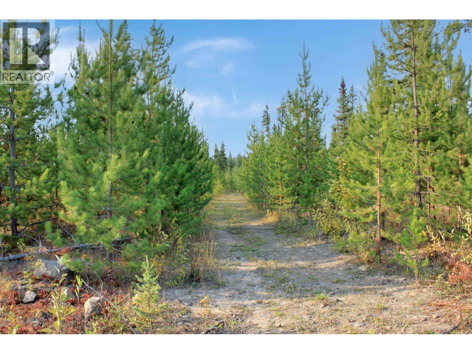 PROP LOT 12 BROWN ROAD — Bridge Lake, British Columbia - Photo 5 of 31