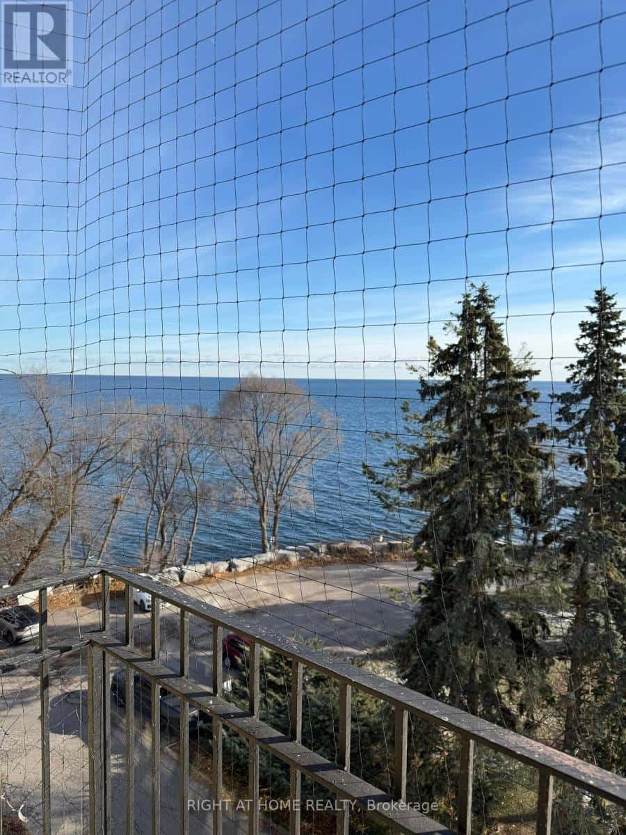 Toronto (Mimico) — Toronto (Mimico) - Photo 5 of 28