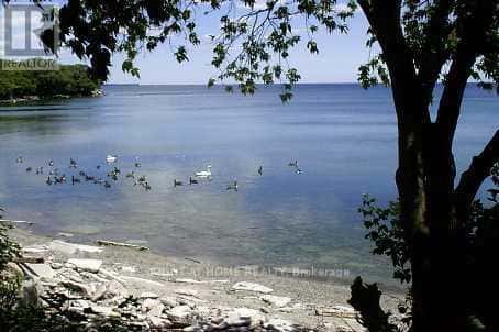 Toronto (Mimico) — Toronto (Mimico) - Photo 4 of 26