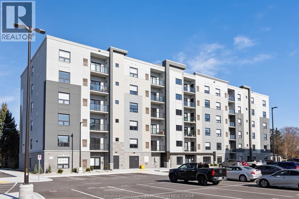 Kingsville — Kingsville - Main photo