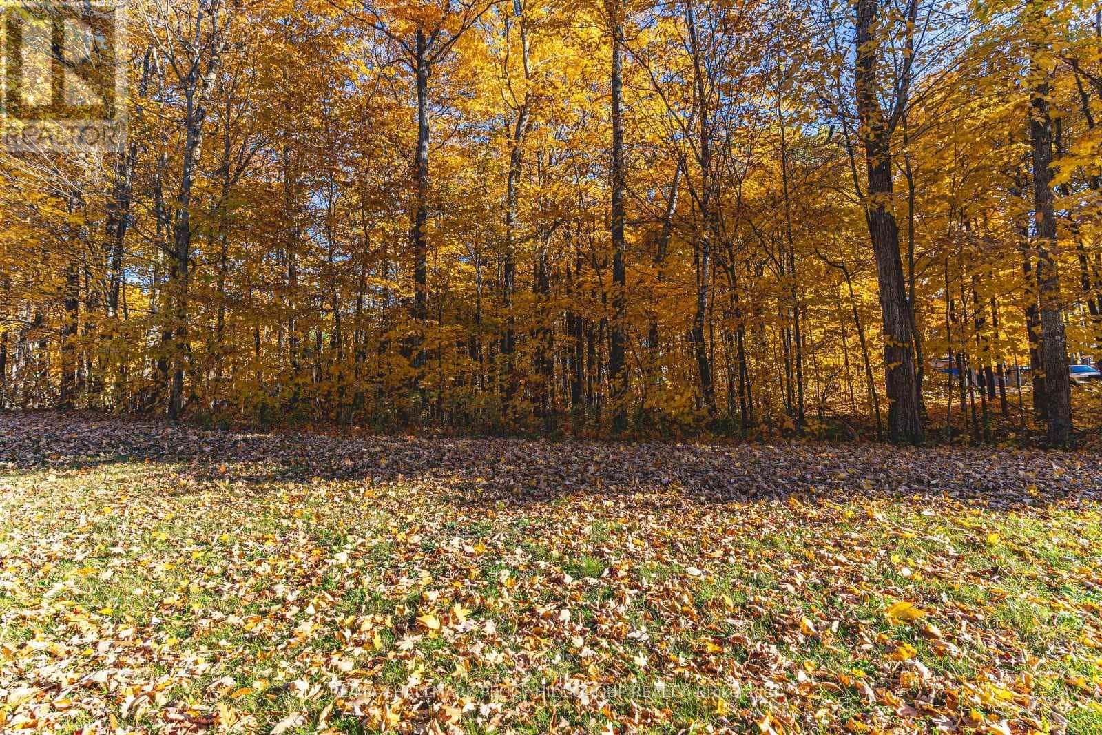 17 MAPLE RIDGE ROAD — Oro-Medonte, Ontario - Photo 3 of 8