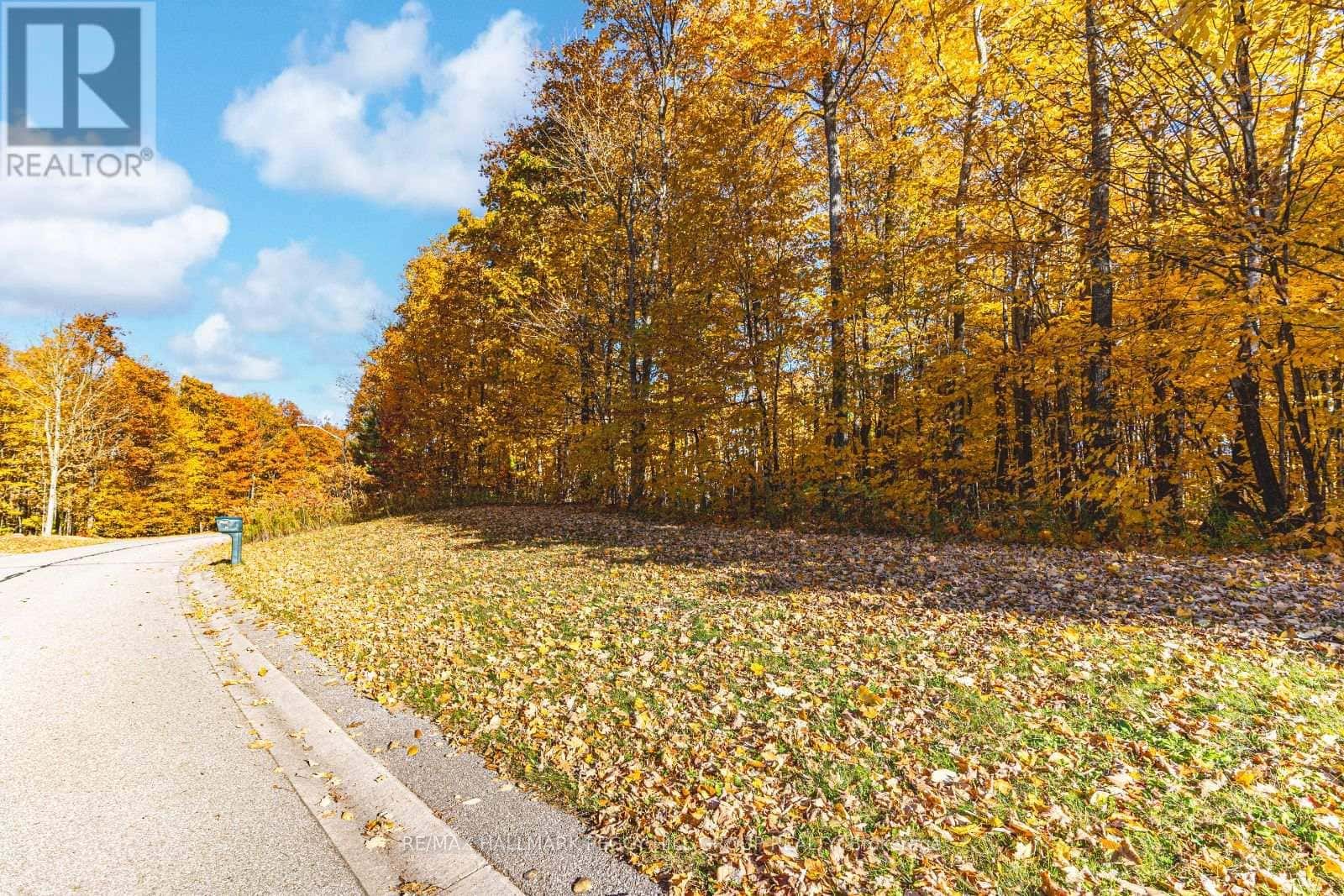 17 MAPLE RIDGE ROAD — Oro-Medonte, Ontario - Photo 4 of 8