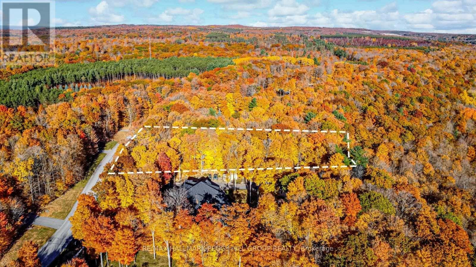 17 MAPLE RIDGE ROAD — Oro-Medonte, Ontario - Photo 5 of 8