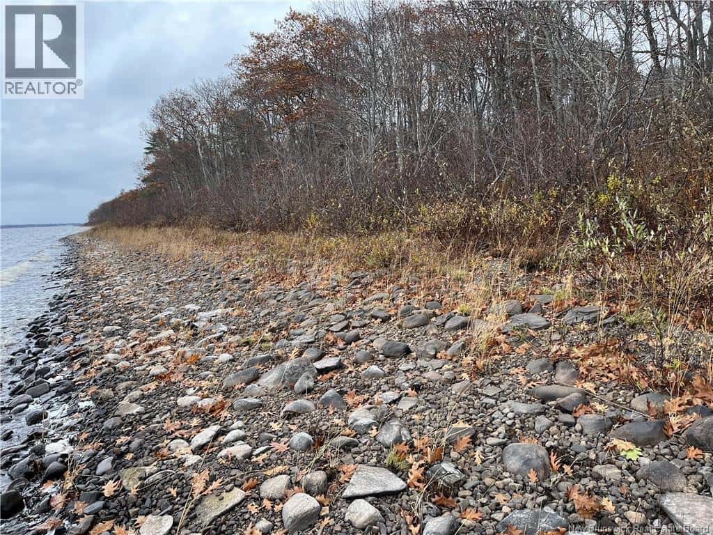 LOT Cox Point Road — Cumberland Bay, New Brunswick - Photo 2 of 19