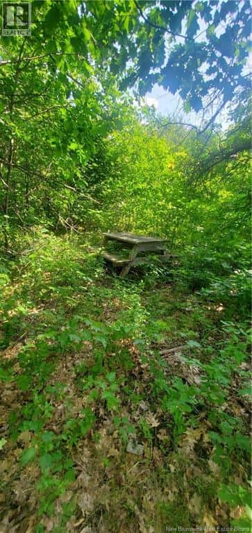 LOT Cox Point Road — Cumberland Bay, New Brunswick - Photo 4 of 19