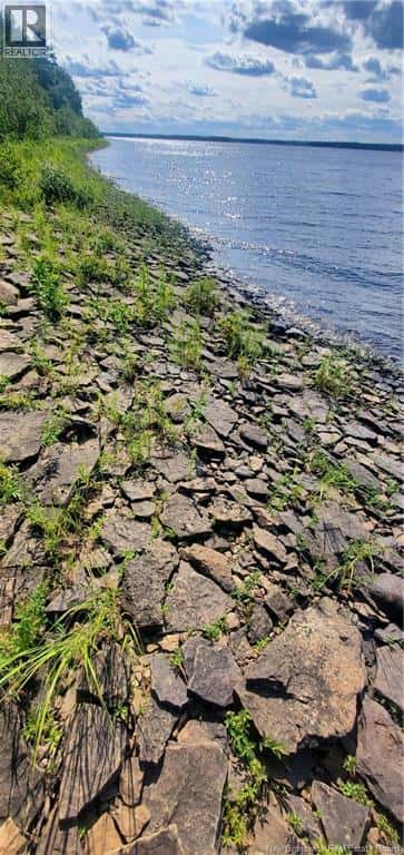 LOT Cox Point Road — Cumberland Bay, New Brunswick - Photo 5 of 19