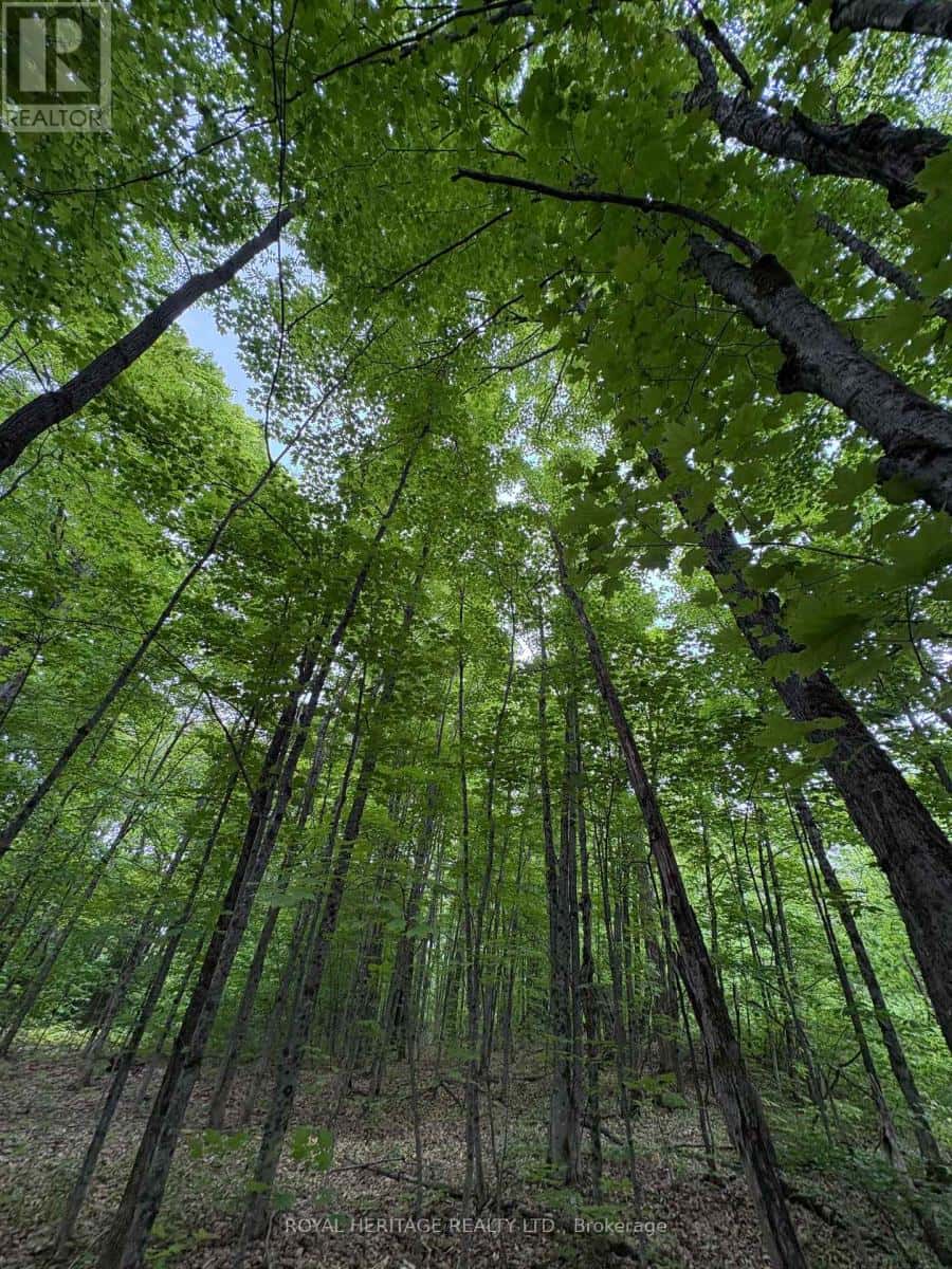 1043 LAWRENCE PIT ROAD — Muskoka Lakes (Watt), Ontario - Photo 3 of 6