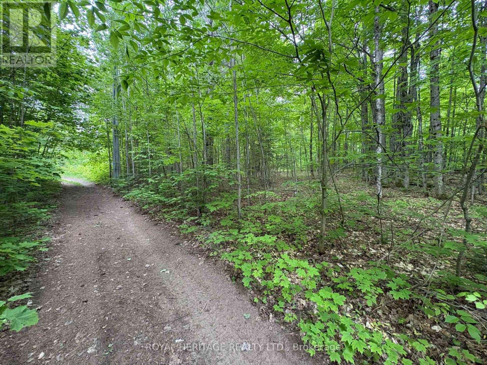 1043 LAWRENCE PIT ROAD — Muskoka Lakes (Watt), Ontario - Photo 5 of 6