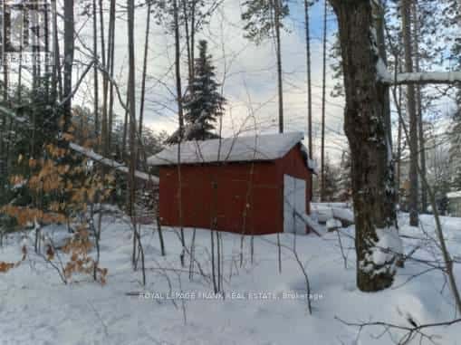 1106 HOMESTEAD ROAD — Highlands East (Cardiff Ward), Ontario - Photo 4 of 15