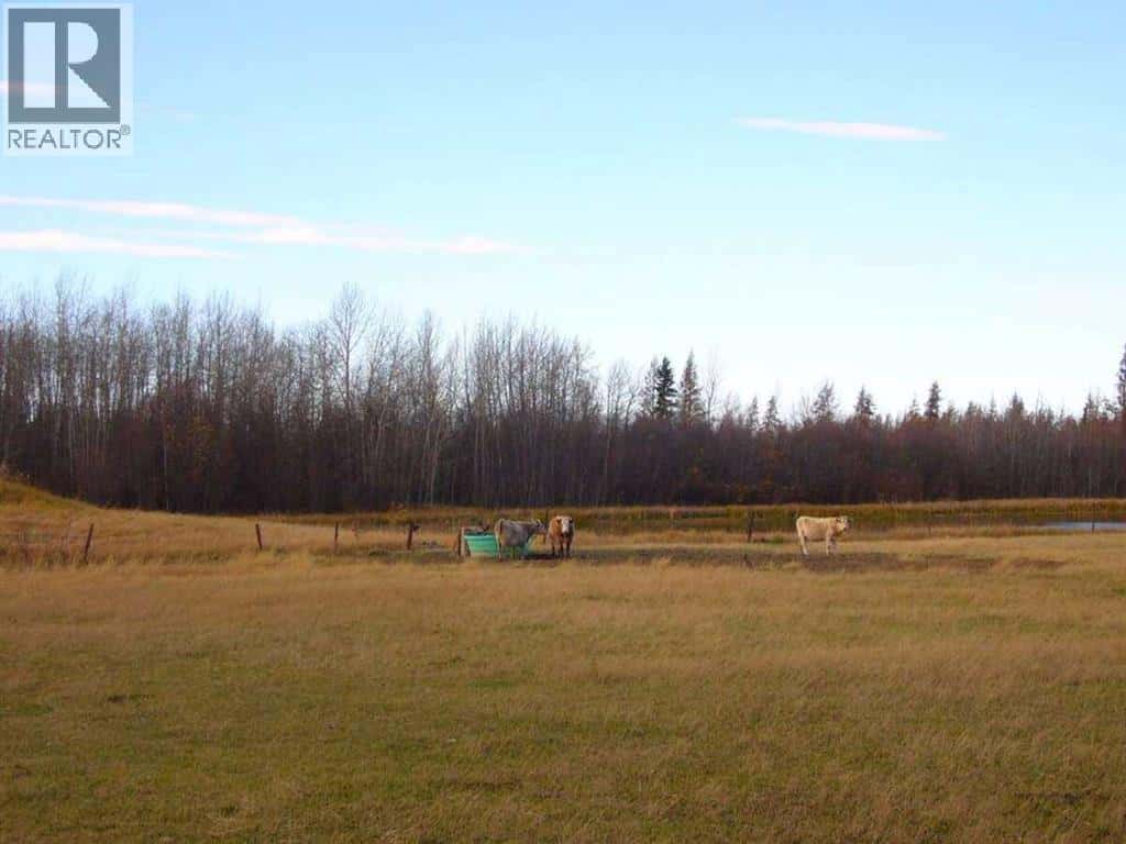 33-82-19-W5 — Rural Northern Sunrise County, Alberta - Photo 4 of 6