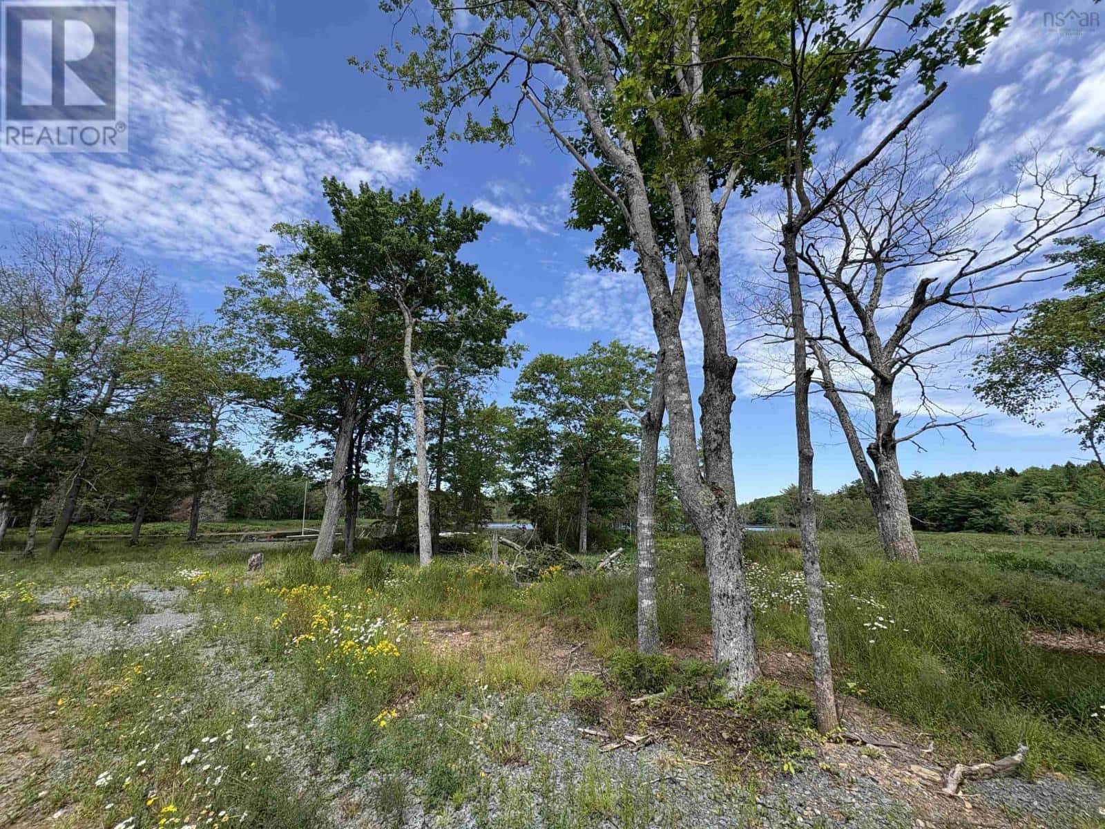 56 Christopher King Lane — Oakfield, Nova Scotia - Photo 5 of 9