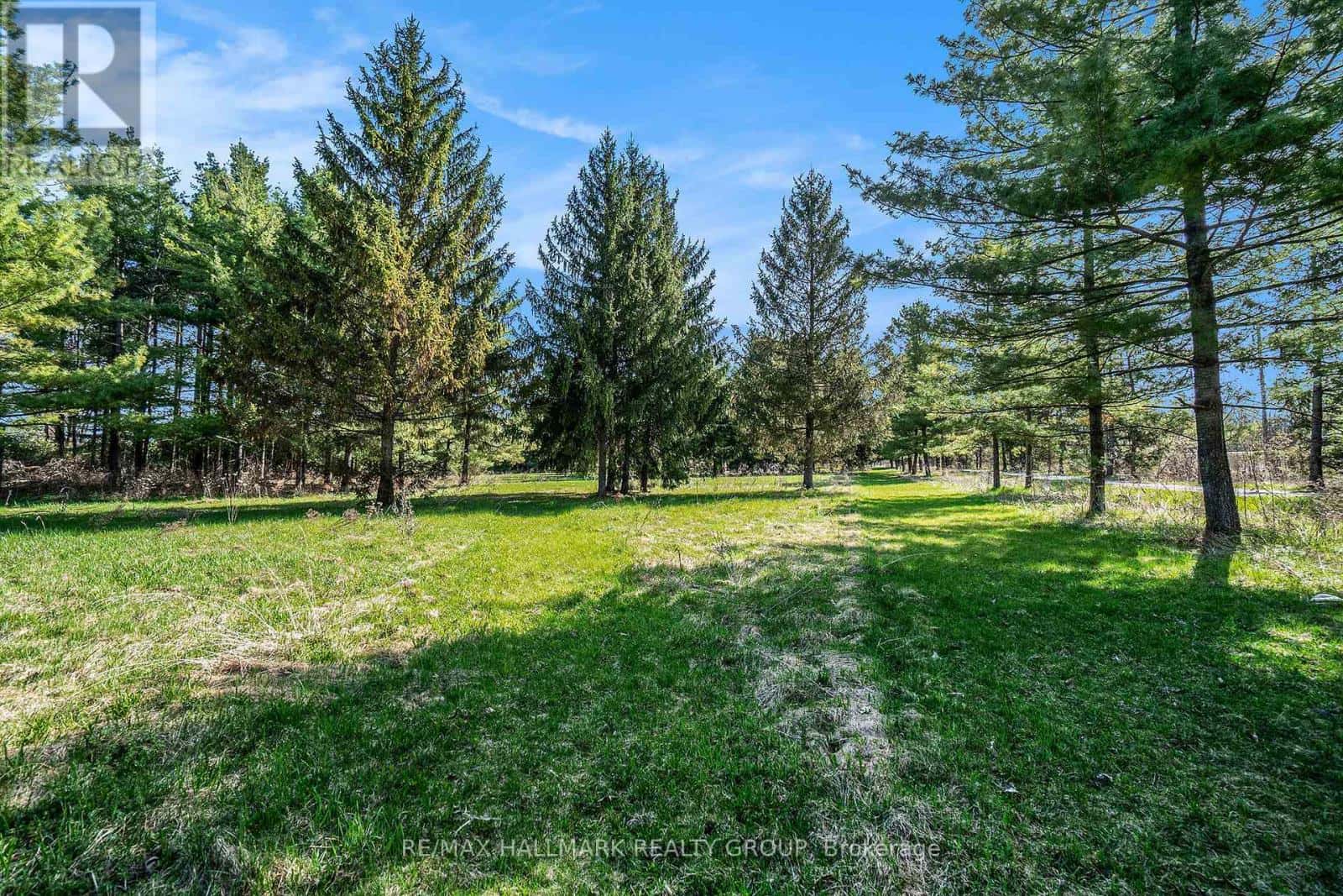 942 CAMERON STREET — Ottawa - Photo 5 of 14