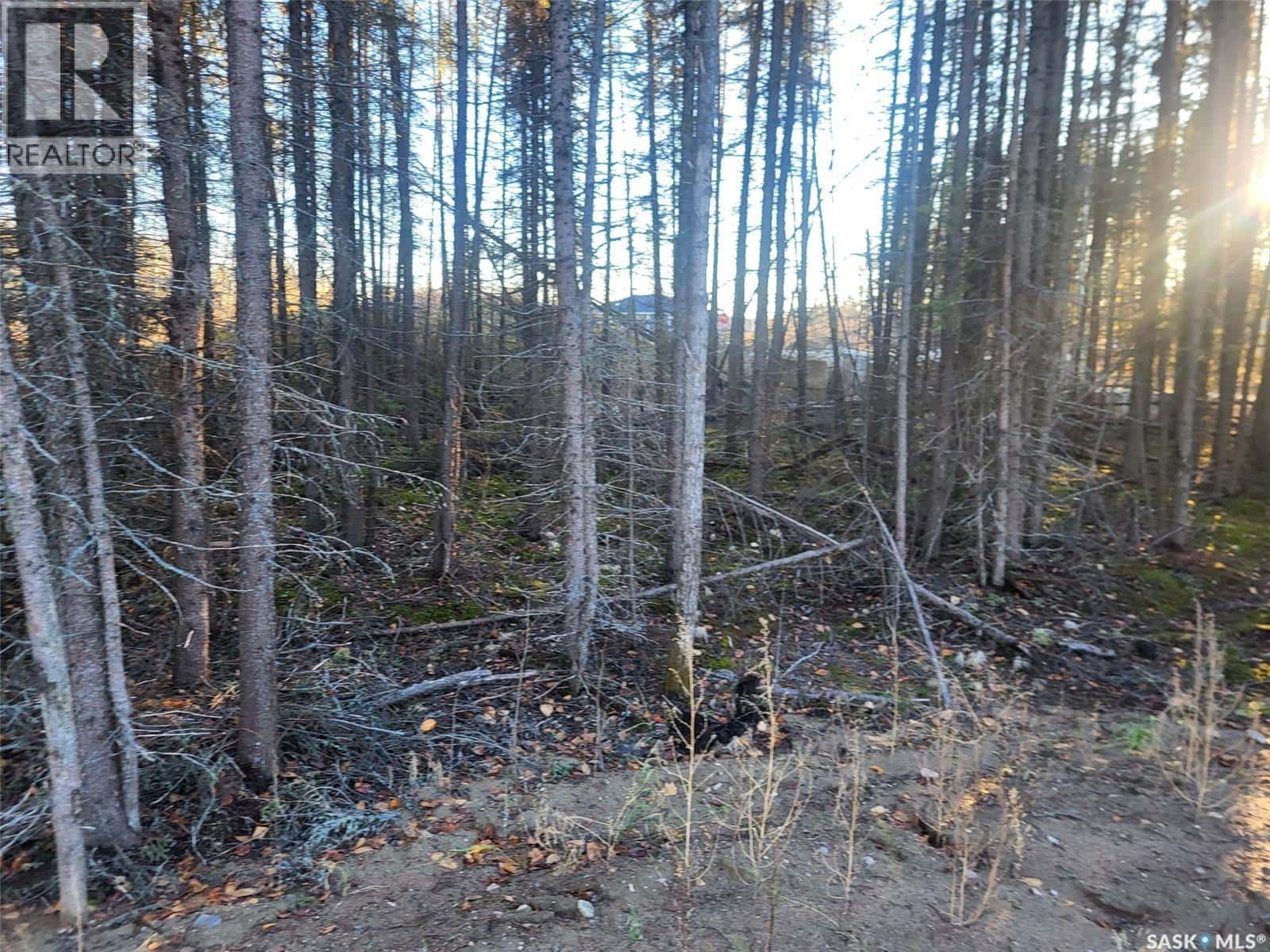 4 Billy Joe BAY — Candle Lake, Saskatchewan - Photo 5 of 10