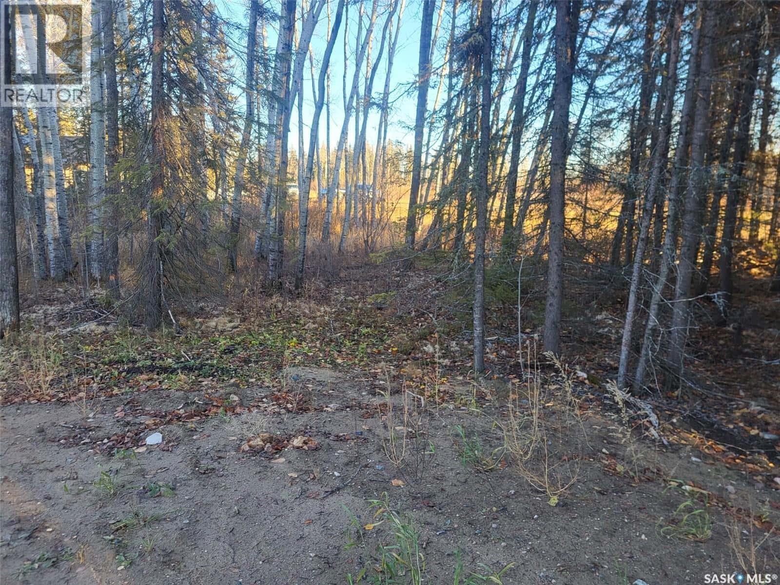 4 Billy Joe BAY — Candle Lake, Saskatchewan - Photo 4 of 10