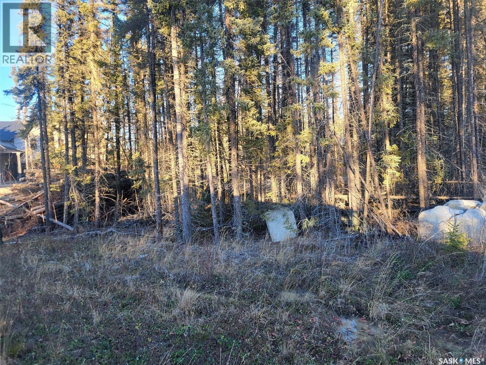 4 Billy Joe BAY — Candle Lake, Saskatchewan - Photo 3 of 10