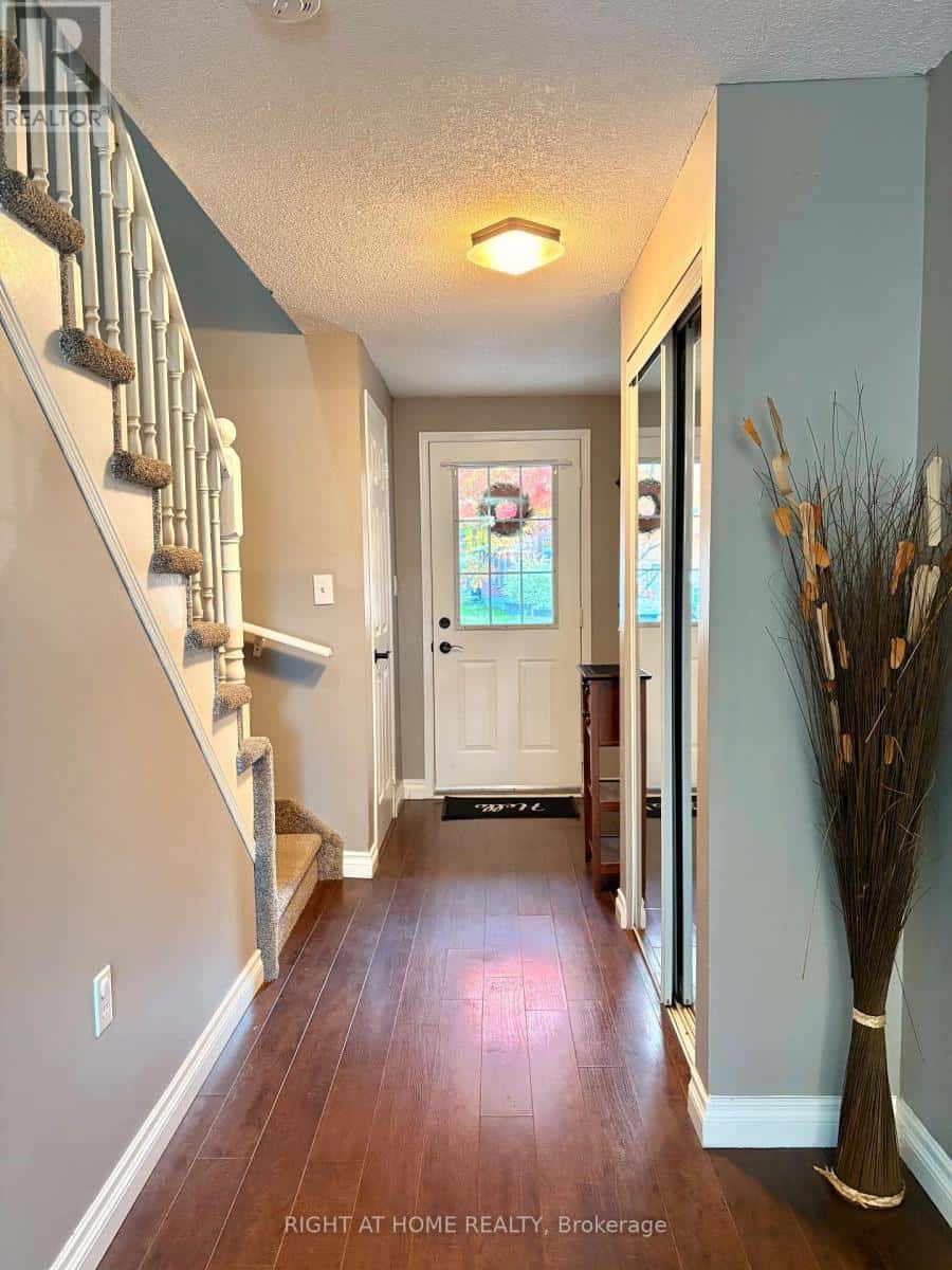 Barrie (Holly) — Barrie (Holly) - Photo 3 of 17