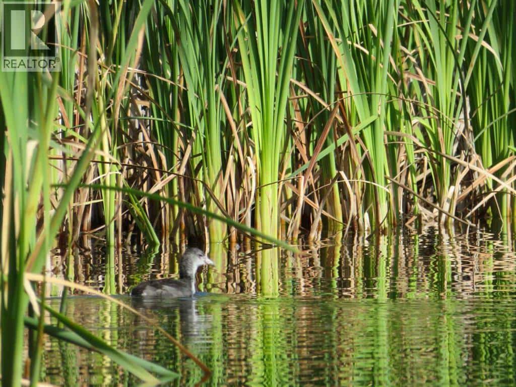 6600 58 Avenue — Innisfail, Alberta - Photo 4 of 4