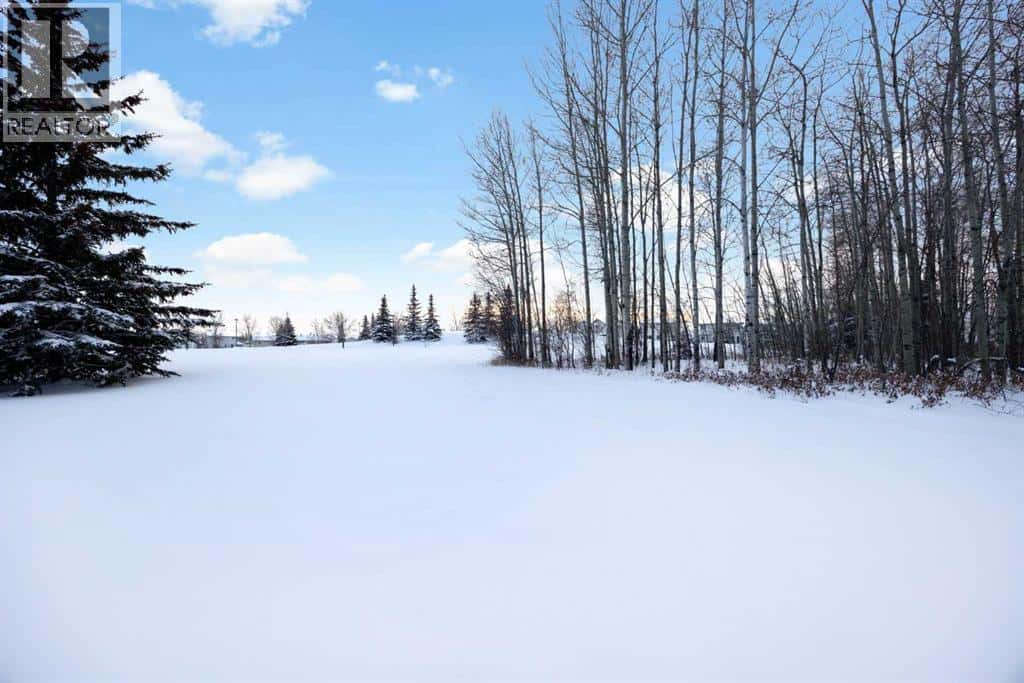 153 Leitner Gate — Fort McMurray - Photo 3 of 32